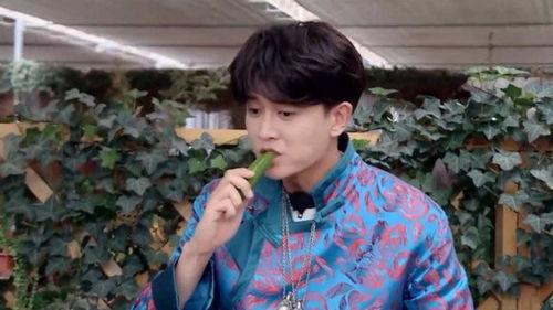 娱乐吃瓜任嘉伦