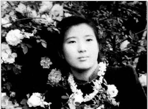 娱乐圈摆烂吃瓜是谁啊,揭秘热门话题背后的神秘人物